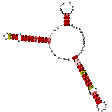 secondary structure