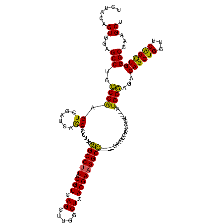 secondary structure