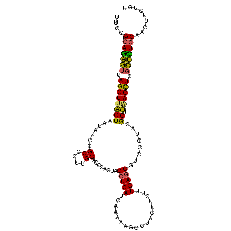 secondary structure