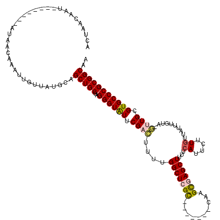 secondary structure