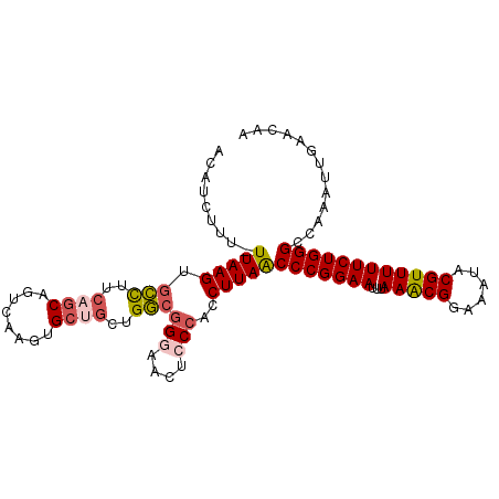 secondary structure