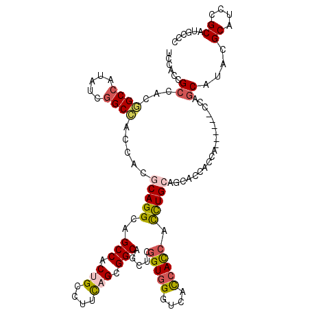 secondary structure