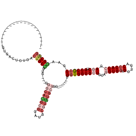 secondary structure