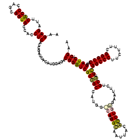 secondary structure