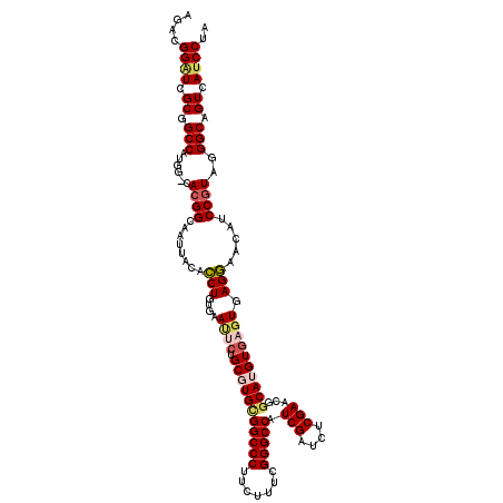 secondary structure