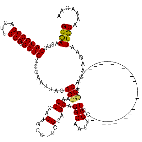 secondary structure