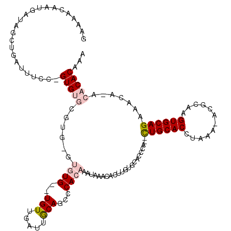 secondary structure