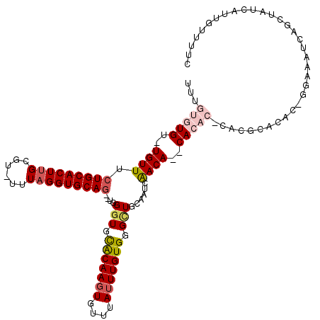 secondary structure