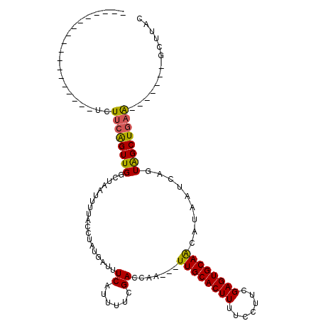 secondary structure