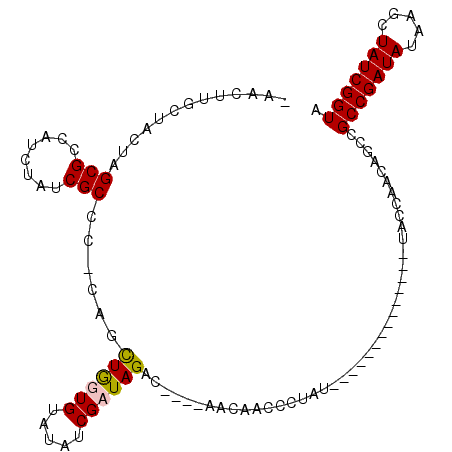 secondary structure