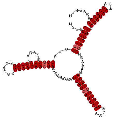 secondary structure