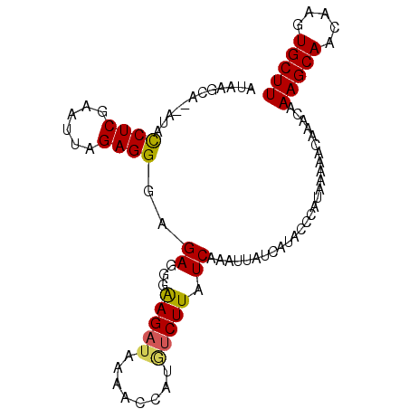 secondary structure