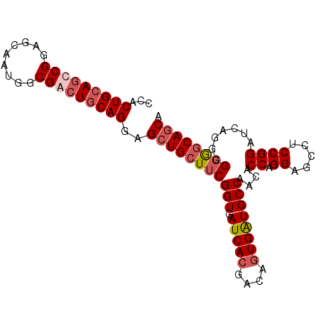 secondary structure