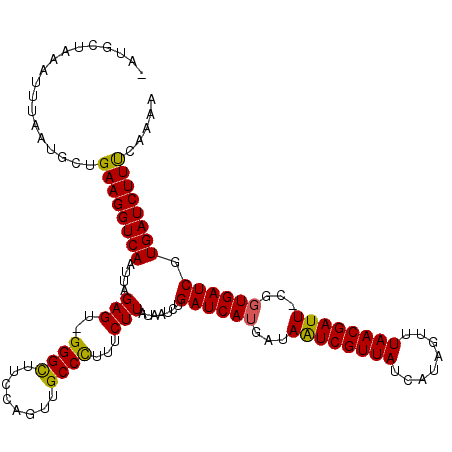 secondary structure