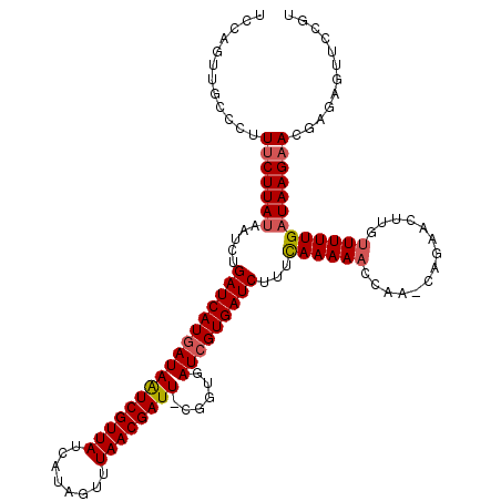 secondary structure
