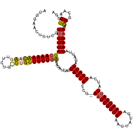 secondary structure