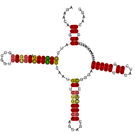 secondary structure