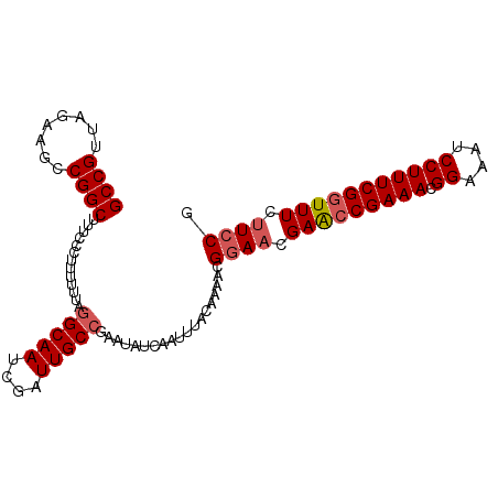 secondary structure