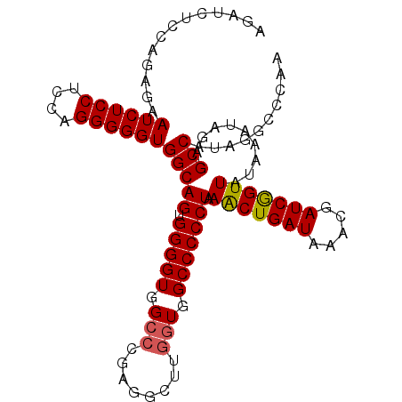 secondary structure