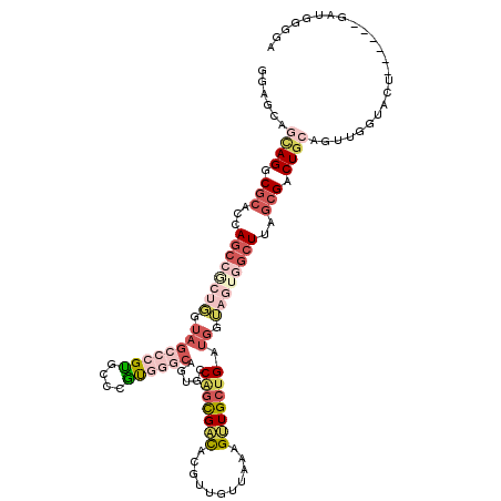 secondary structure