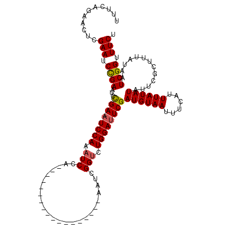 secondary structure