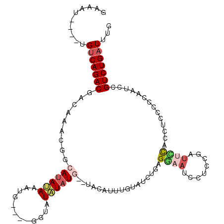 secondary structure