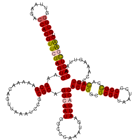 secondary structure