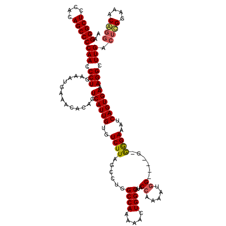 secondary structure