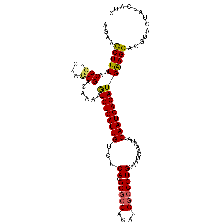 secondary structure