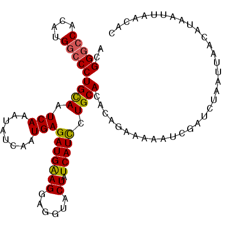secondary structure