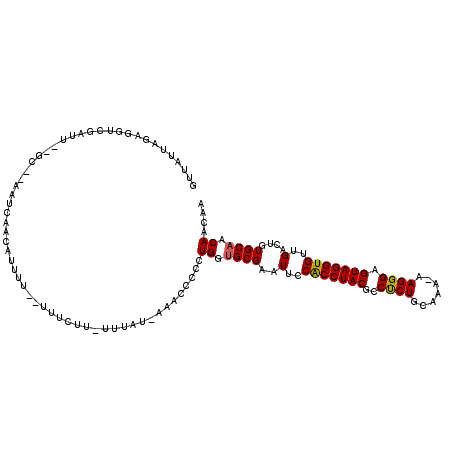 secondary structure