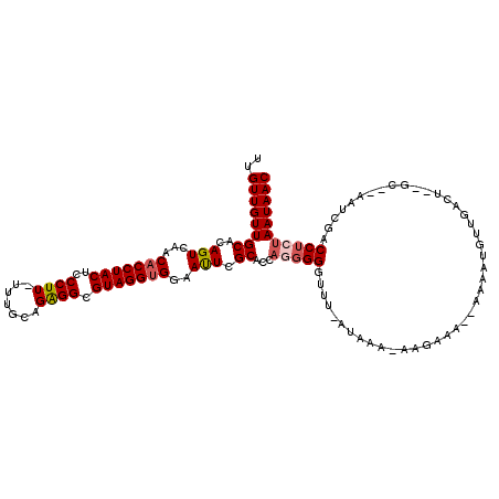 secondary structure