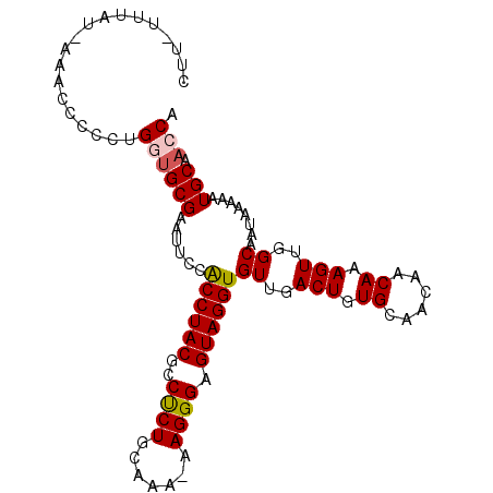 secondary structure