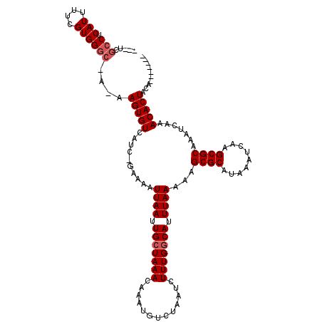 secondary structure