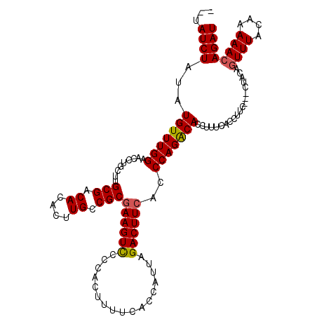 secondary structure
