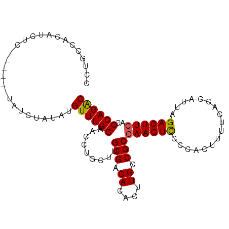 secondary structure