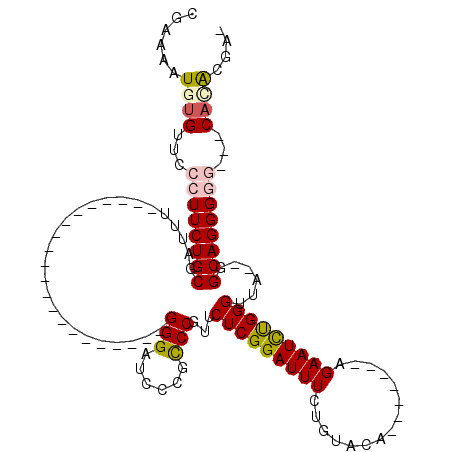 secondary structure