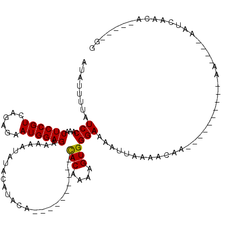secondary structure