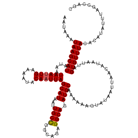 secondary structure