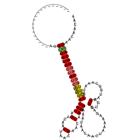 secondary structure