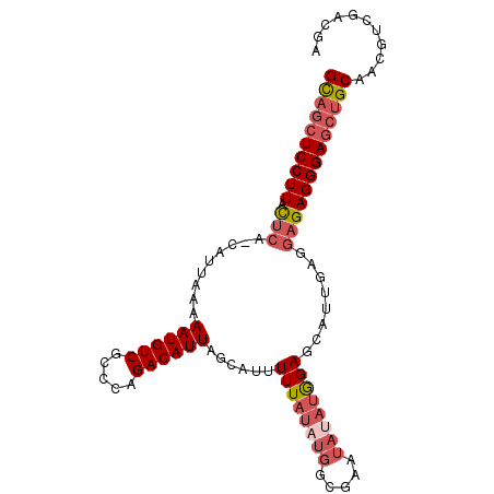 secondary structure