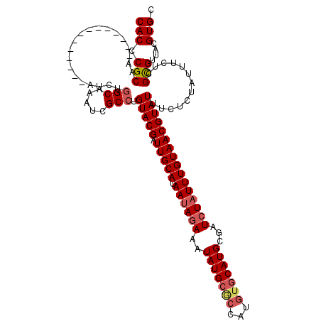 secondary structure