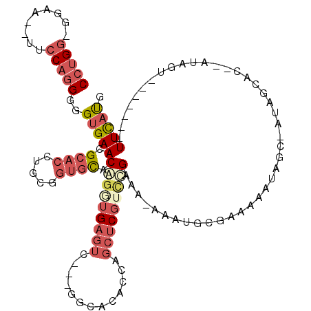secondary structure