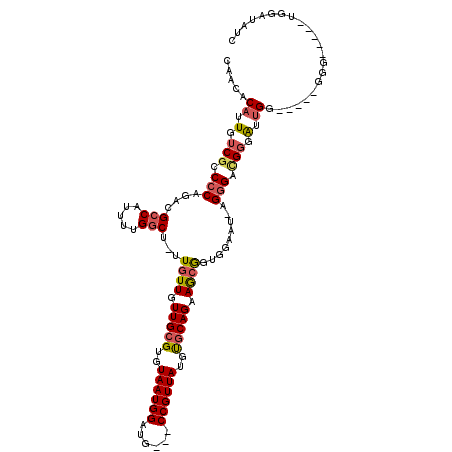 secondary structure