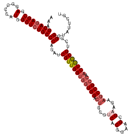 secondary structure