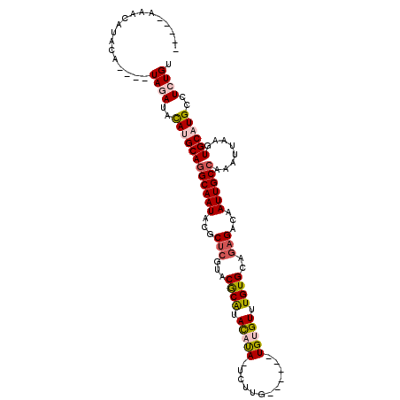 secondary structure