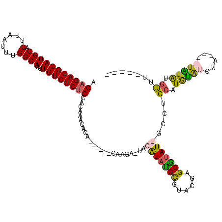 secondary structure