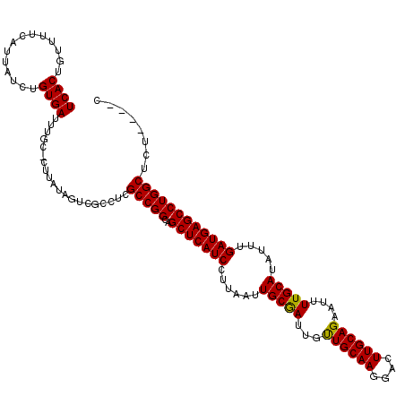 secondary structure