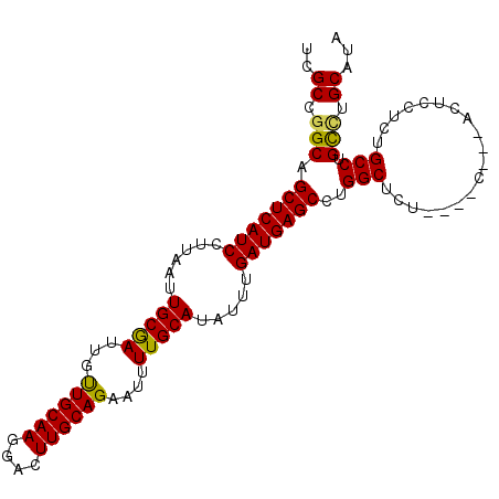 secondary structure
