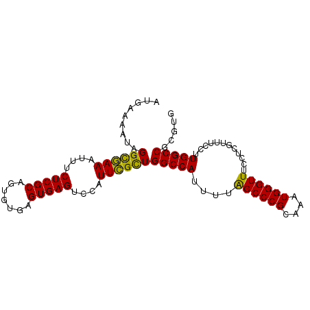 secondary structure